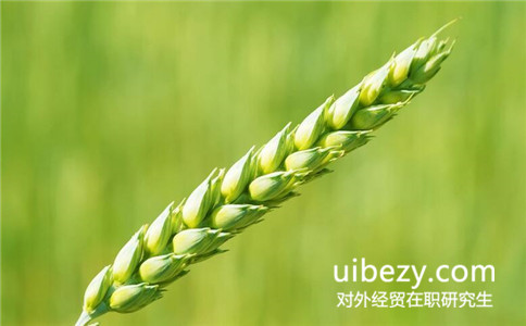 对外经济贸易大学在职研究生考试科目是什么