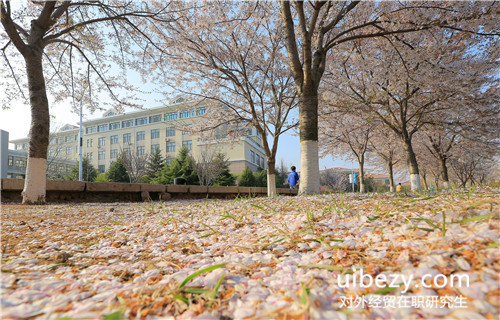 对外经贸大学在职攻读研究生和统招研究生证书含金量 对外经贸大学在职攻读研究生和统招研究生证书含金量