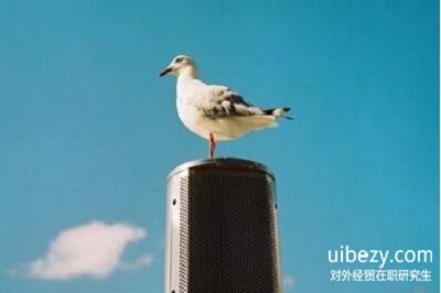 对外经济贸易大学同等学力申硕的论文答辩难度怎么样? 对外经济贸易大学同等学力申硕的论文答辩难度怎么样?